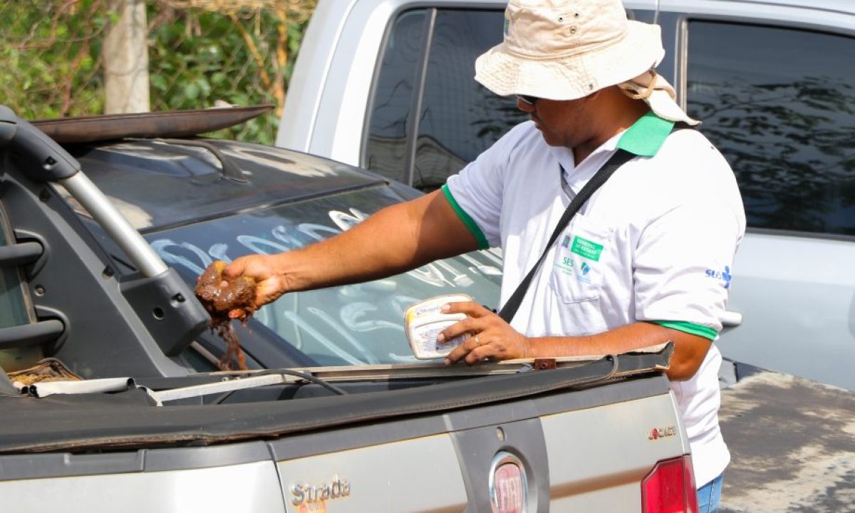 DIA-D-CONTRA-A-DENGUE-PERICIA-CRIMINAL-20-03-5-scaled