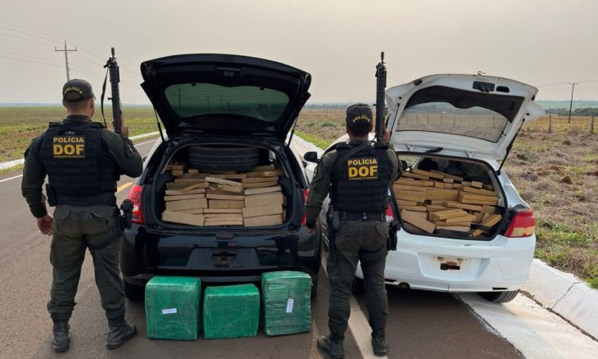 DOF-APREENSOES-730x480