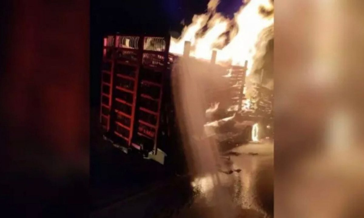 Design sem nome (59)