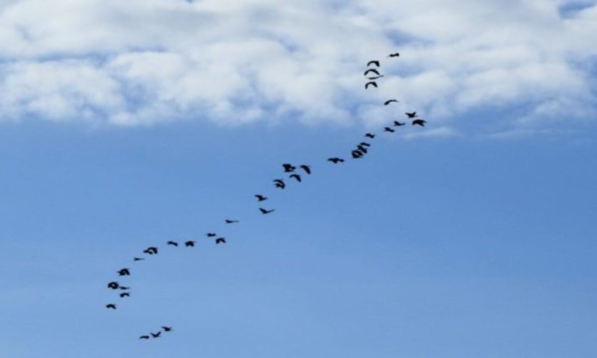 EEE9286B-BB59-4B04-8E9E-4D84DFF8DA75