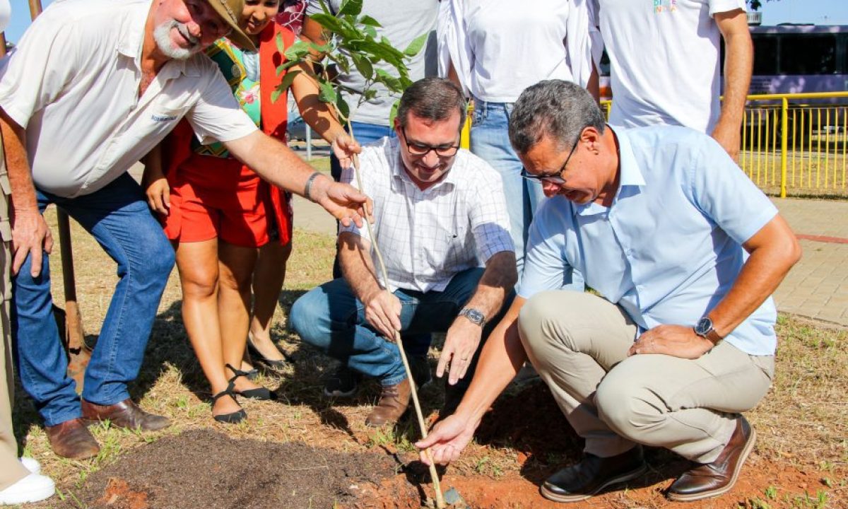 ENCERRAMENTO-PERIFERART-E-PLANTIO-DE-ARVORES-15-03-7-scaled