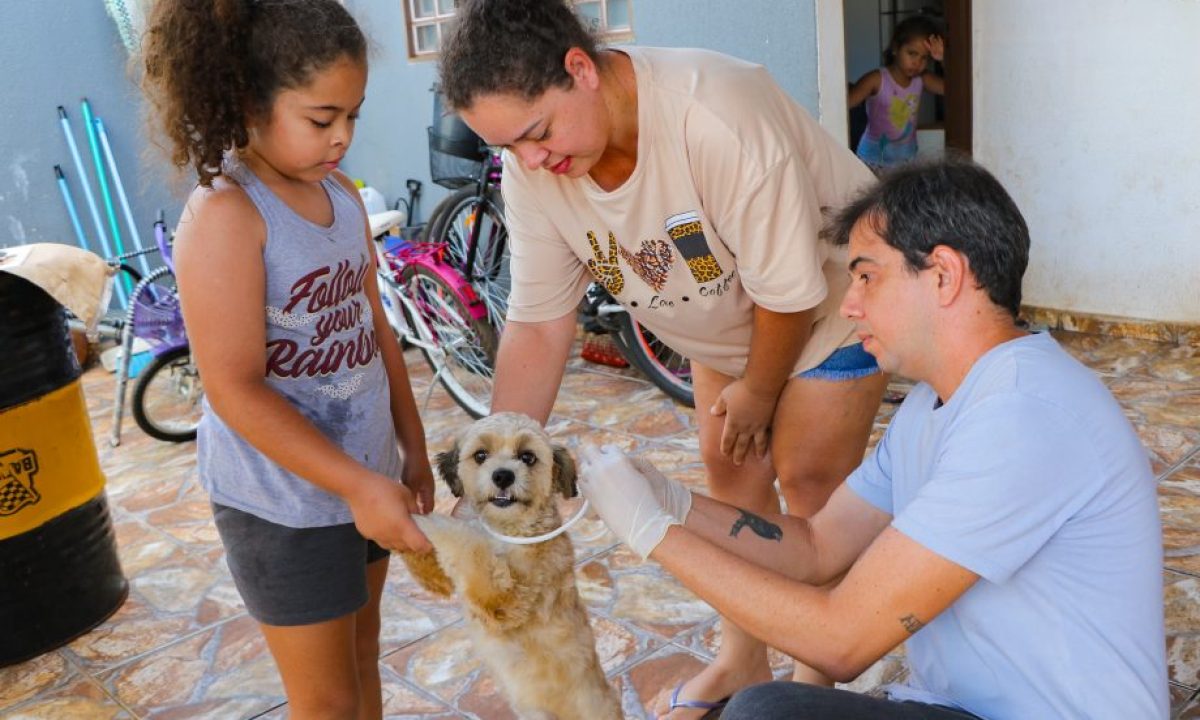 ENCOLERA-CAO-JD.-SANTA-JULIA-24-04-3-scaled