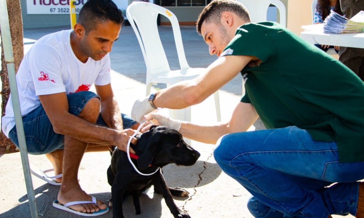 ENCOLERA-CAO-SANTA-JULIA-27-04-11-scaled