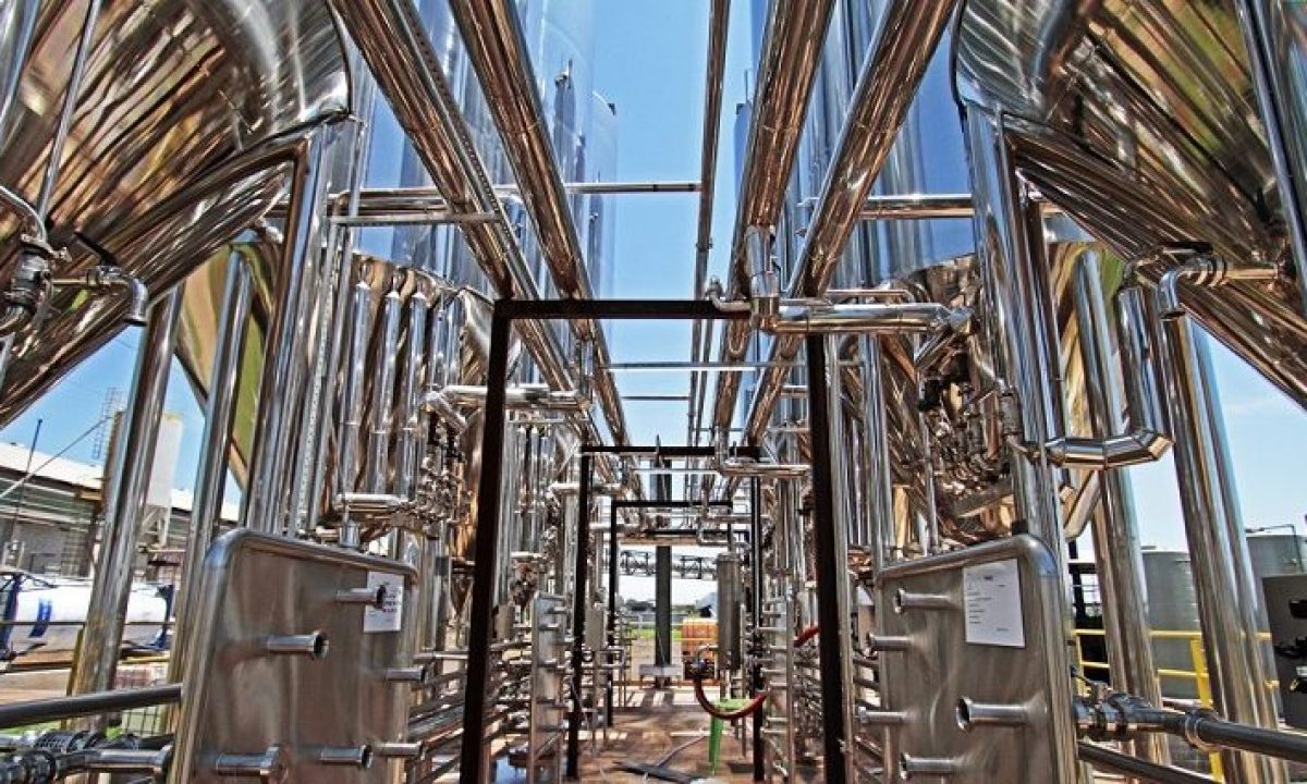 Economia-industria-cervejaria-bamboa-Foto-saul-Schramm-768x425-730x425