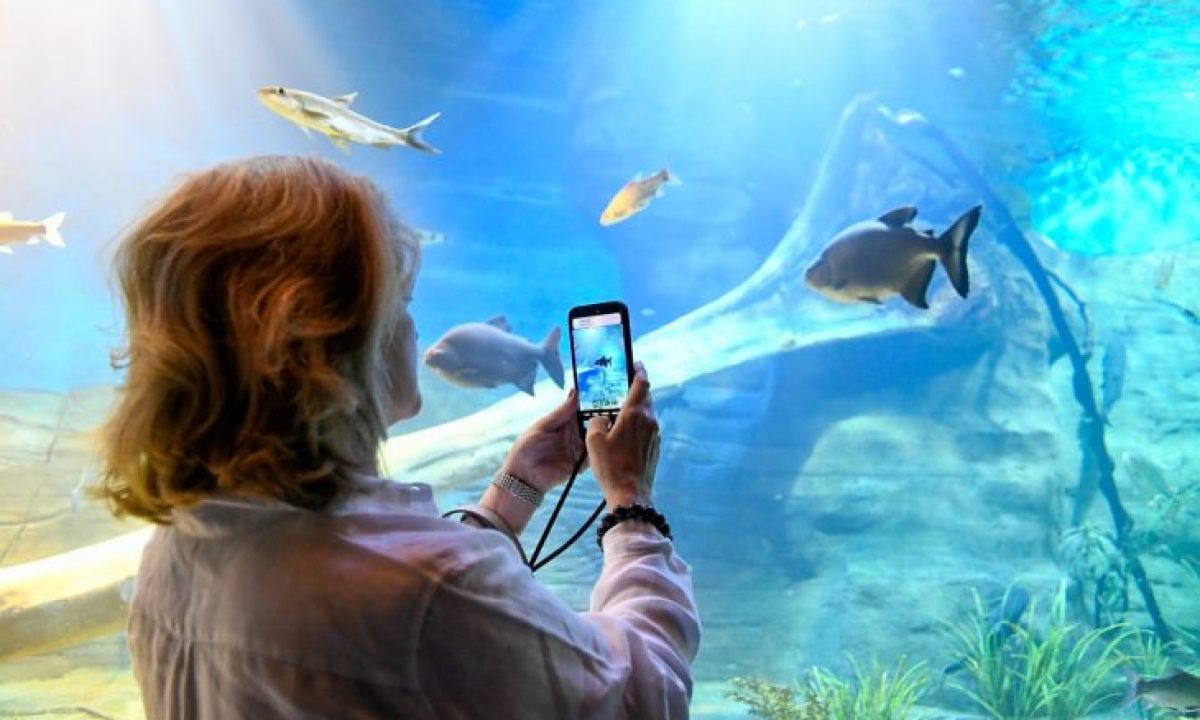 Embaixadores-da-UE-visitam-o-Bioparque-Foto-Bruno-Rezende5-730x480