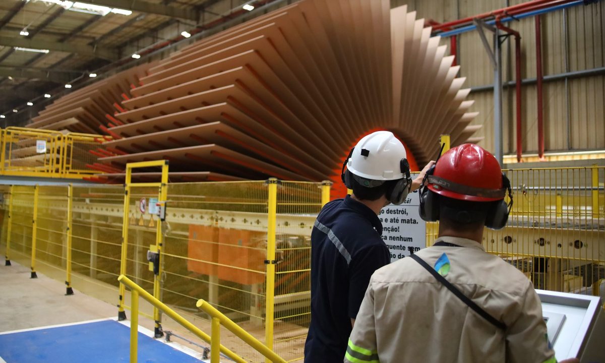 Emprego-Foto-Alvaro-Rezende-scaled