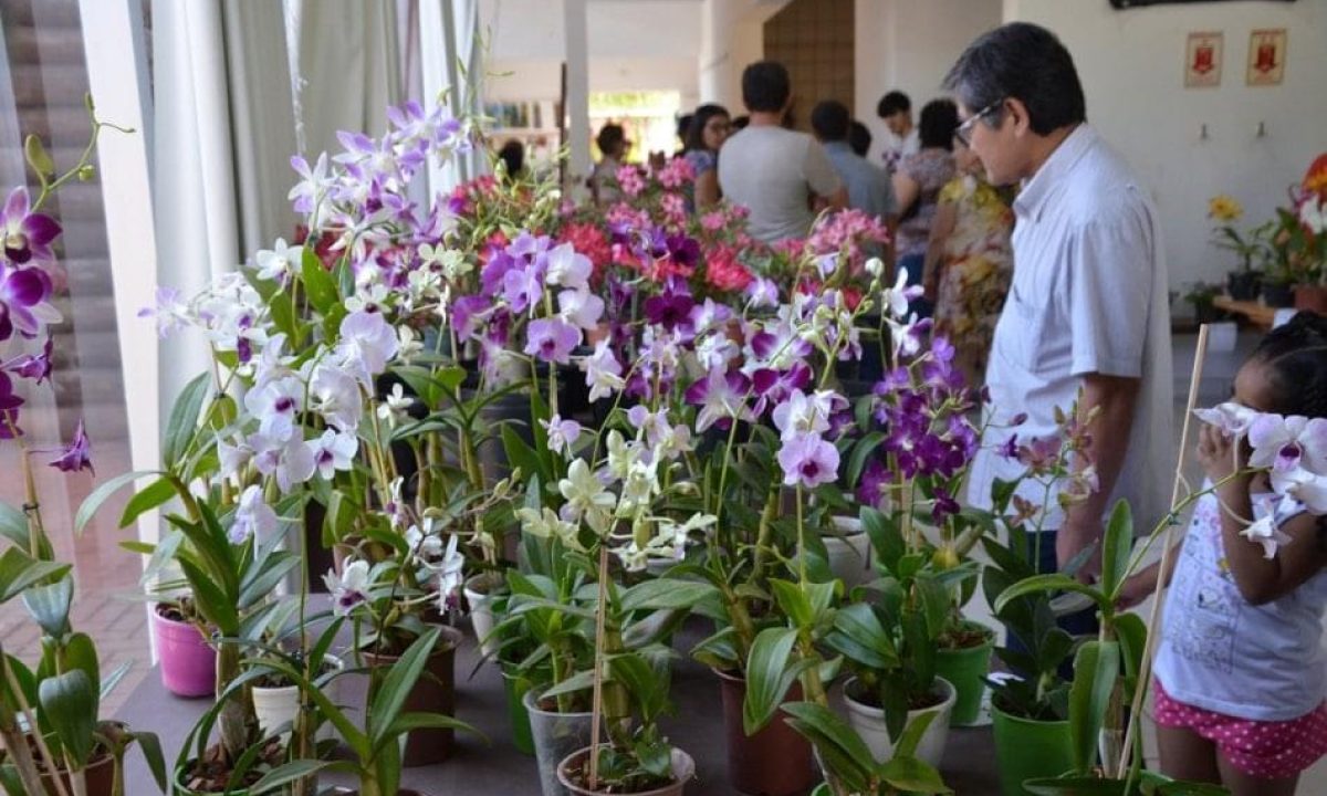 Exposicao-Orquideas-Santa-Ana-2019_1