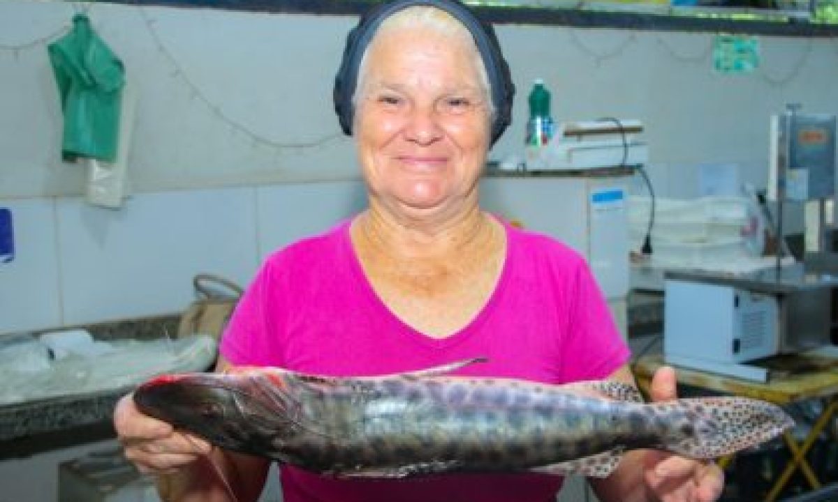 FEIRA-DO-PEIXE-01-04-10-scaled-420x280_c