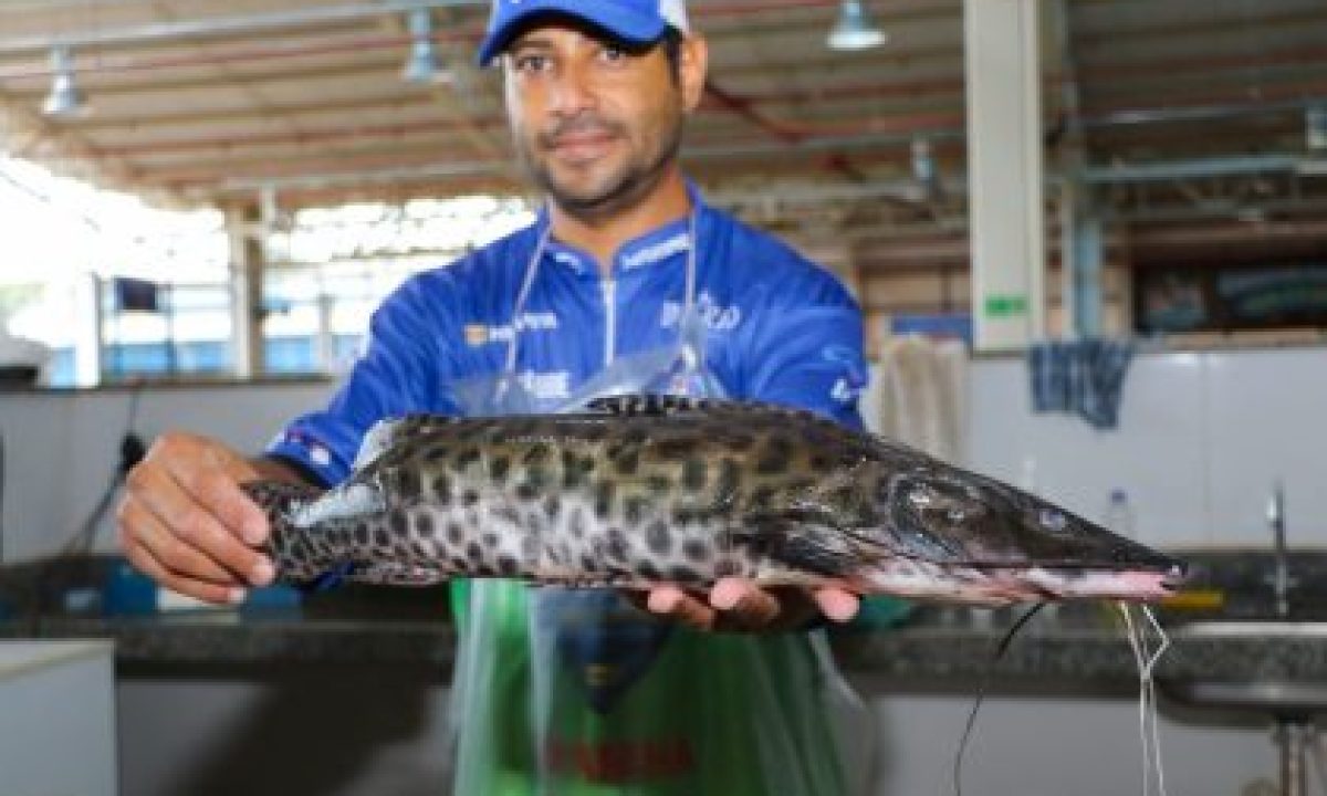 FEIRA-DO-PEIXE-28-03-12-scaled-420x280_c