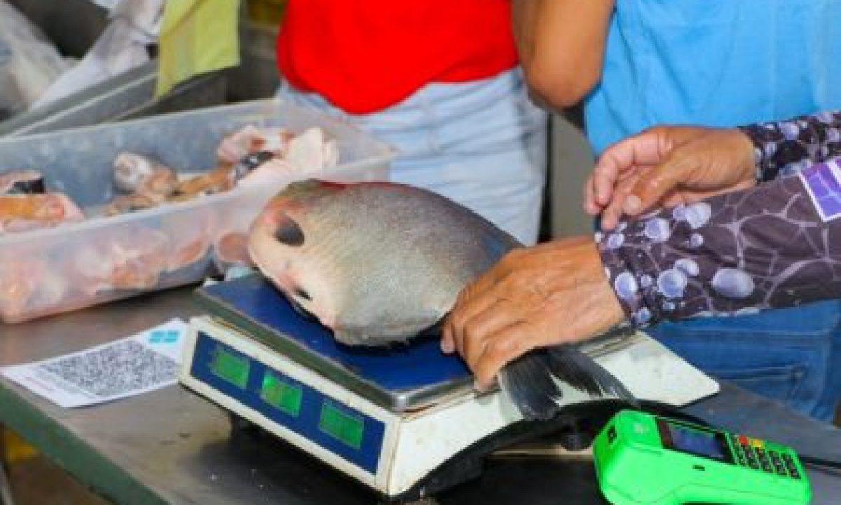 FEIRA-DO-PEIXE-28-03-7-scaled-1-420x280_c