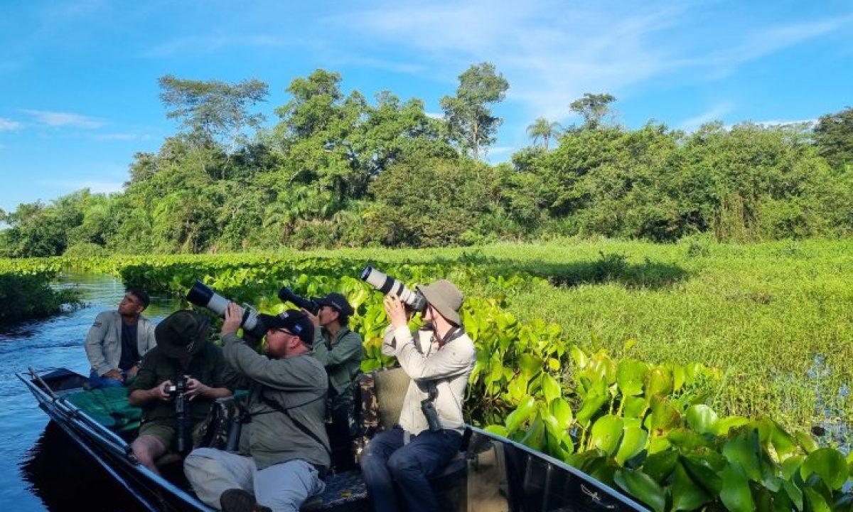 Famtour-Observacao-de-aves-Pantanal-Sul-8-730x480
