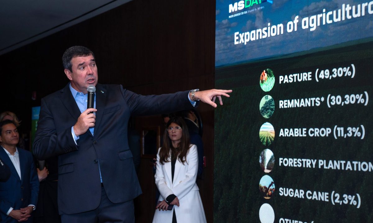 Foto-Divulgacao-3-scaled