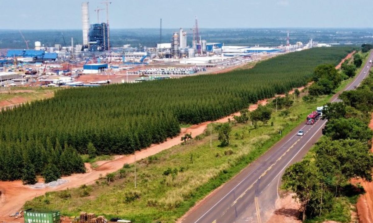 Foto-Saul-Schramm-1-730x480