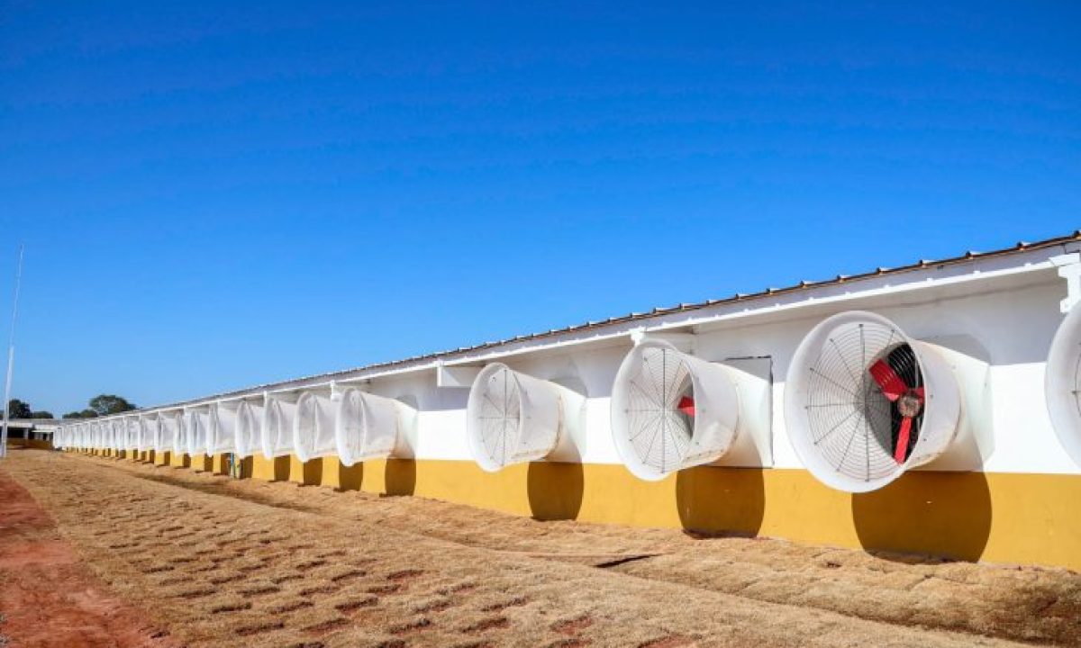 Governador-em-Rio-Negro-Foto-Alvaro-Rezende-21-730x480