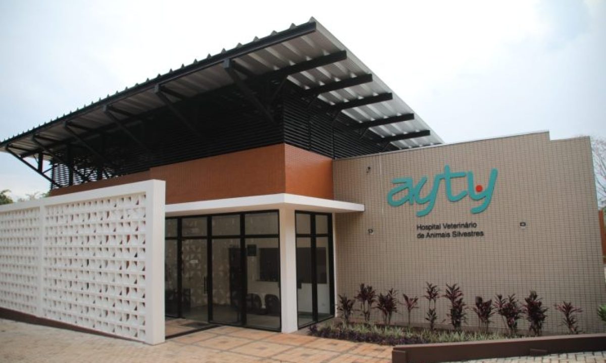 Hospital-Veterinario-de-Animais-Silvestres-Foto-Saul-Schramm-04-730x480