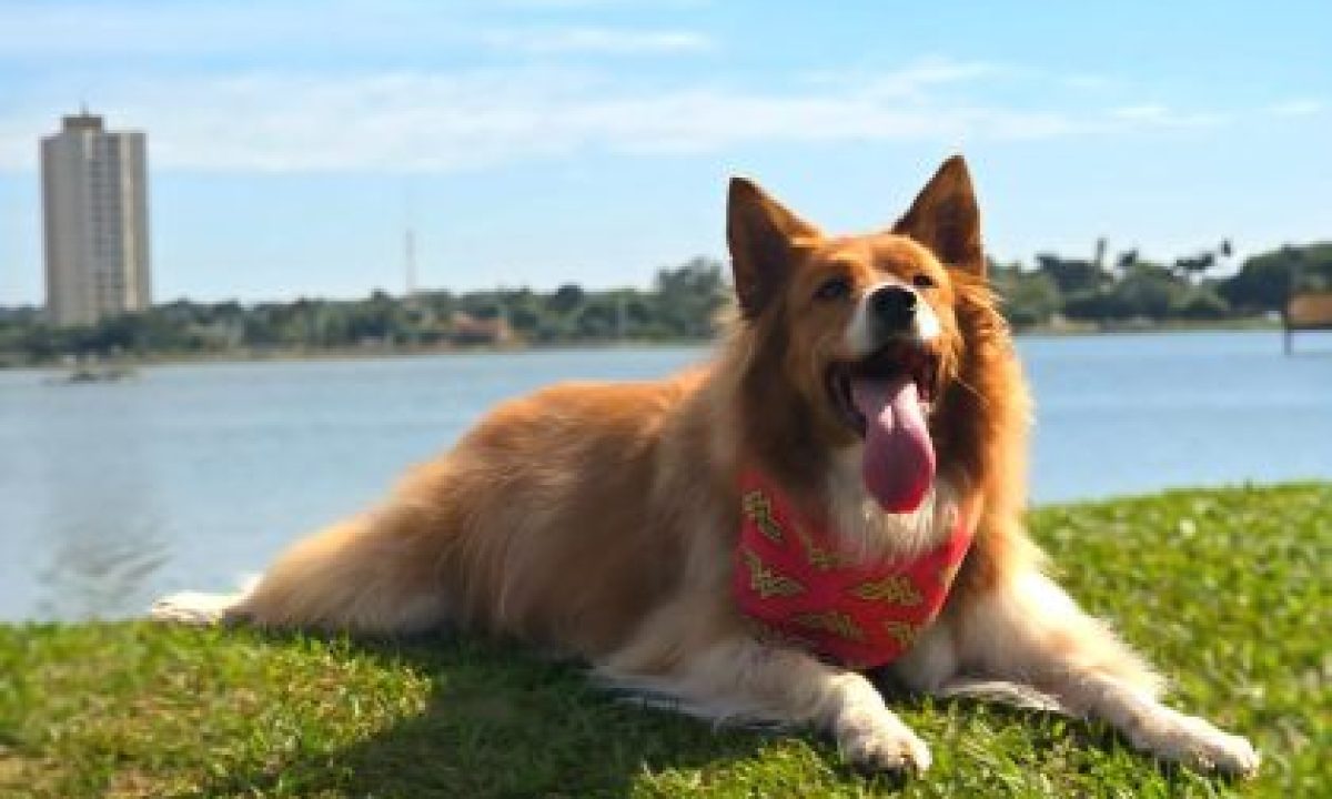 IMG-20250912-WA0009-scaled-420x280_c