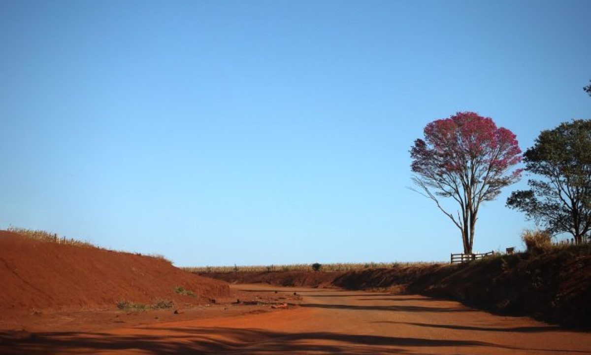 IMG_8291-scaled-e1726060636705-730x480