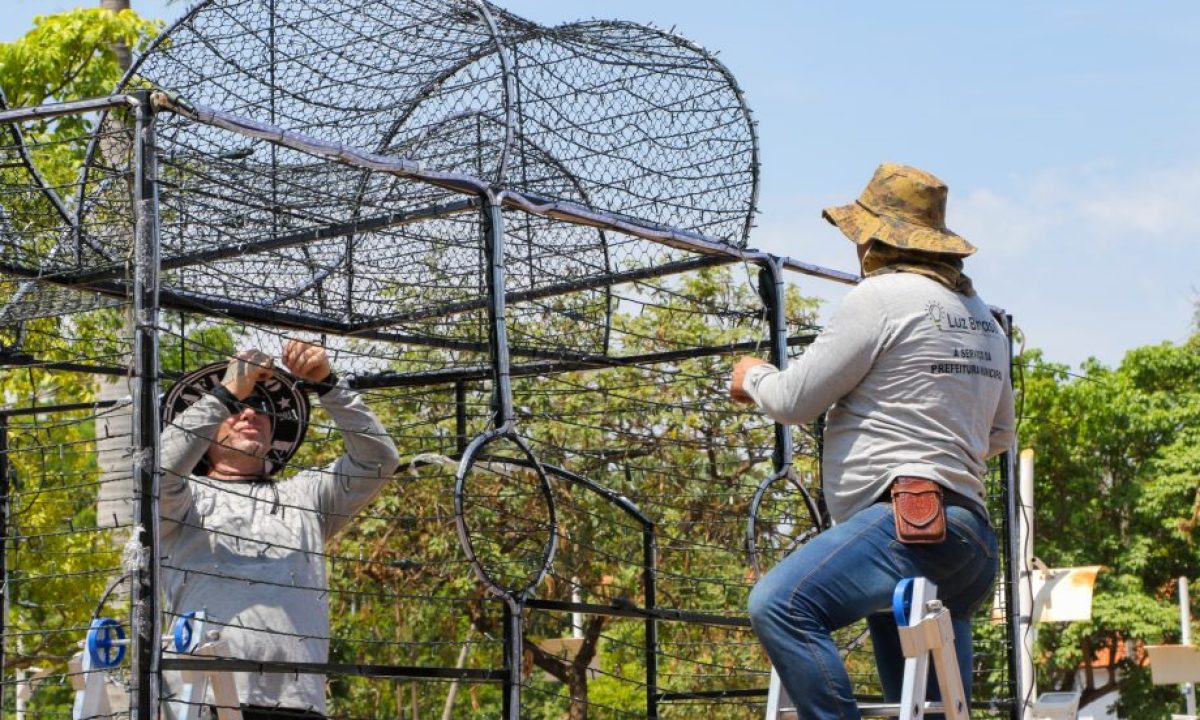 INICIO-DA-INSTALACAO-DAS-LUZES-DE-NATAL-18-10-9-scaled