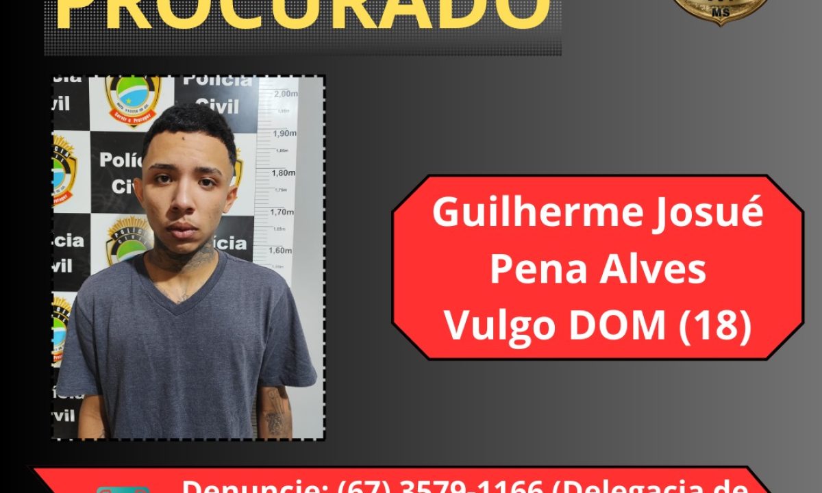 Imagem do WhatsApp de 2024-11-29 à(s) 13.07.55_42cd6e2c