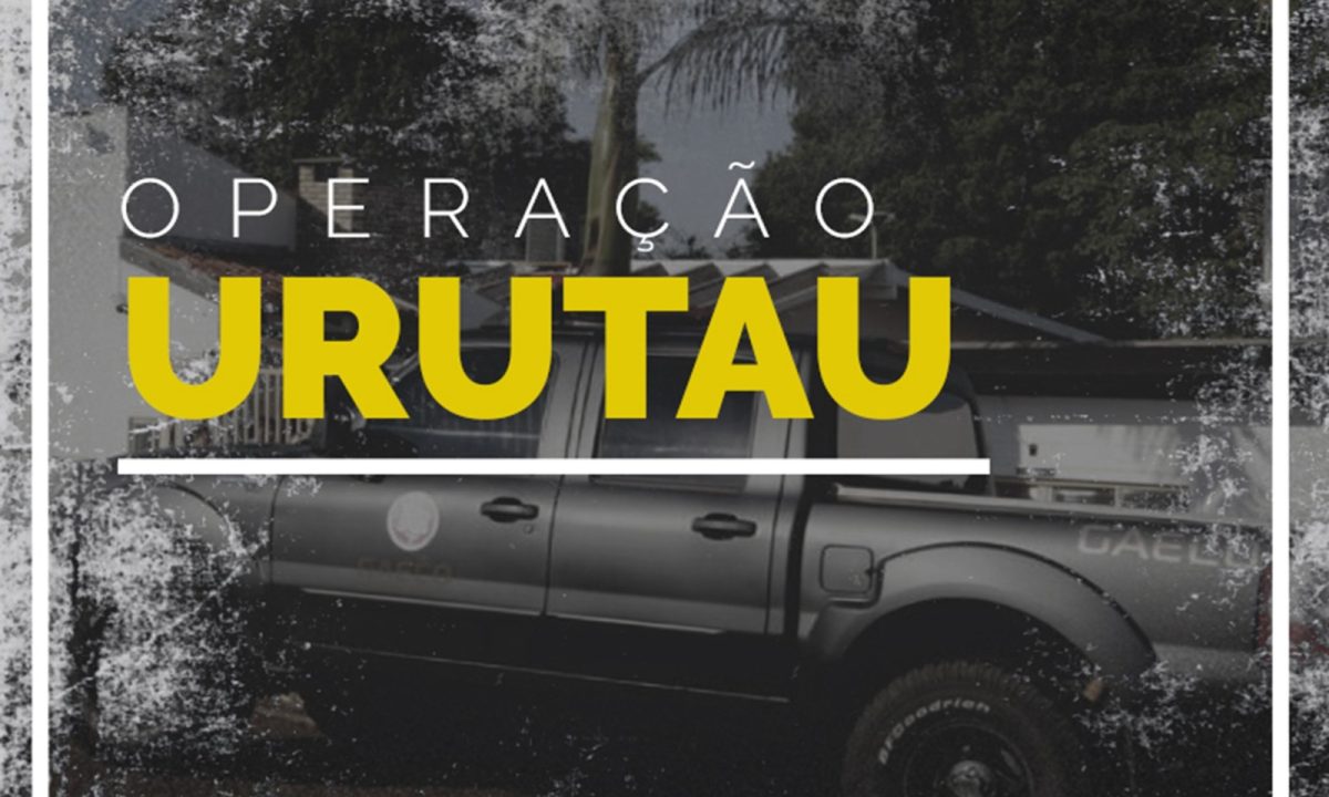 Imagem do WhatsApp de 2025-10-08 à(s) 10.16.42_b95b9c5e