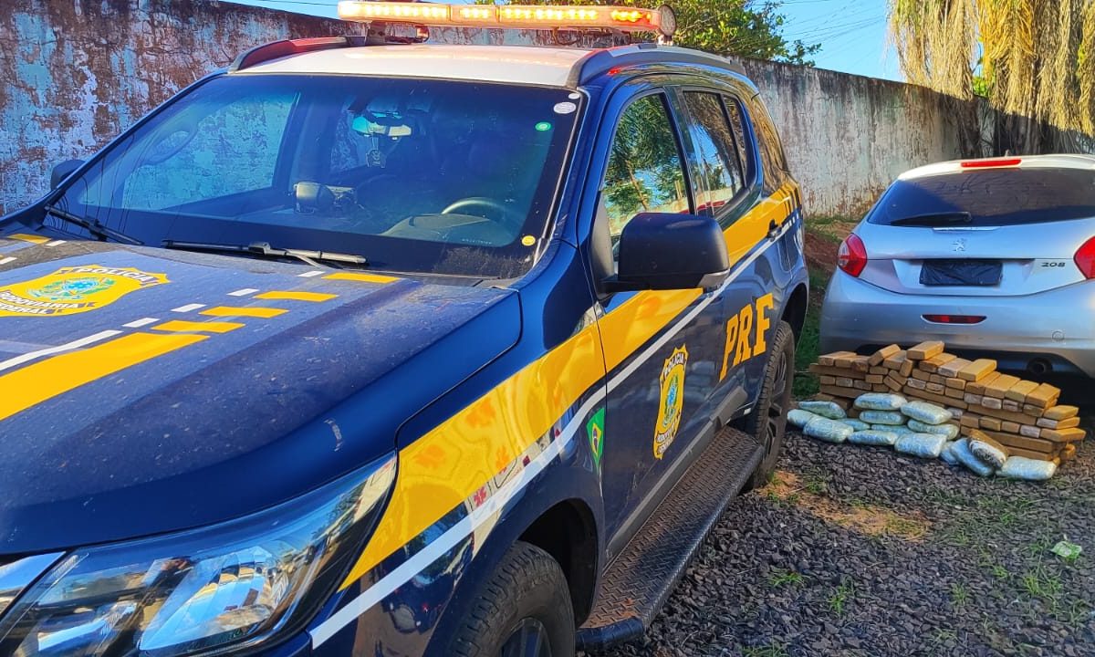 Imagem do WhatsApp de 2025-11-11 à(s) 08.42.47_a233ea87