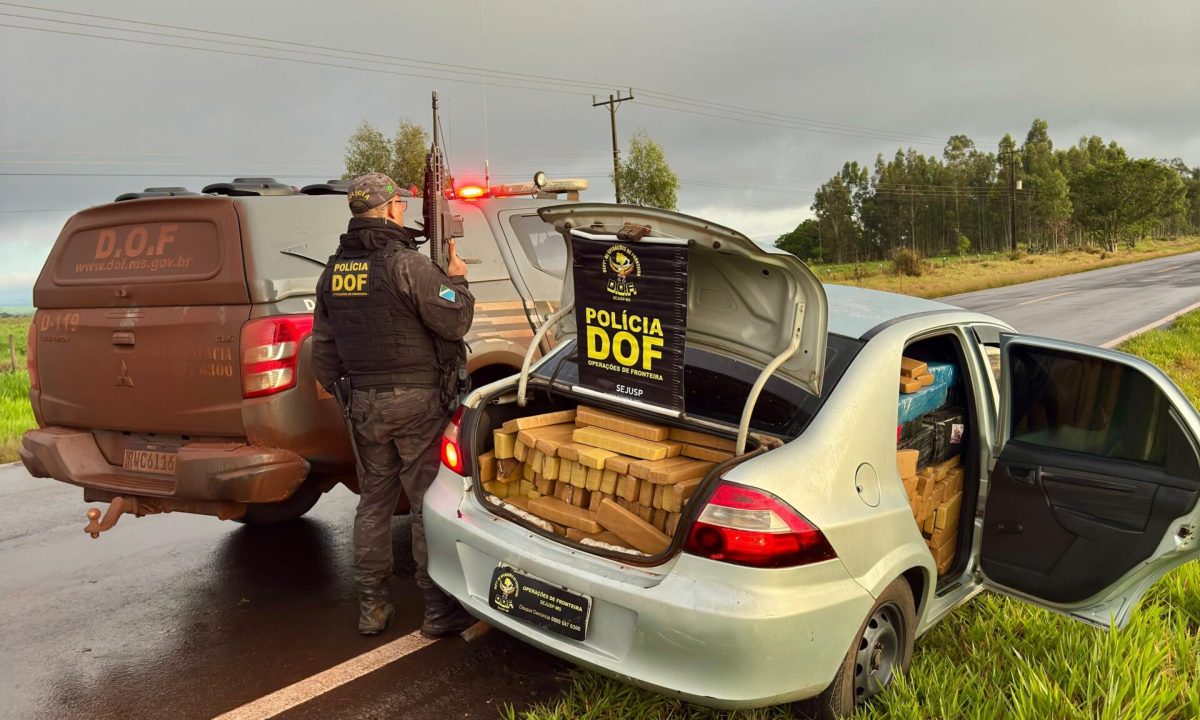 Imagem do WhatsApp de 2025-11-18 à(s) 12.45.40_1a83951c