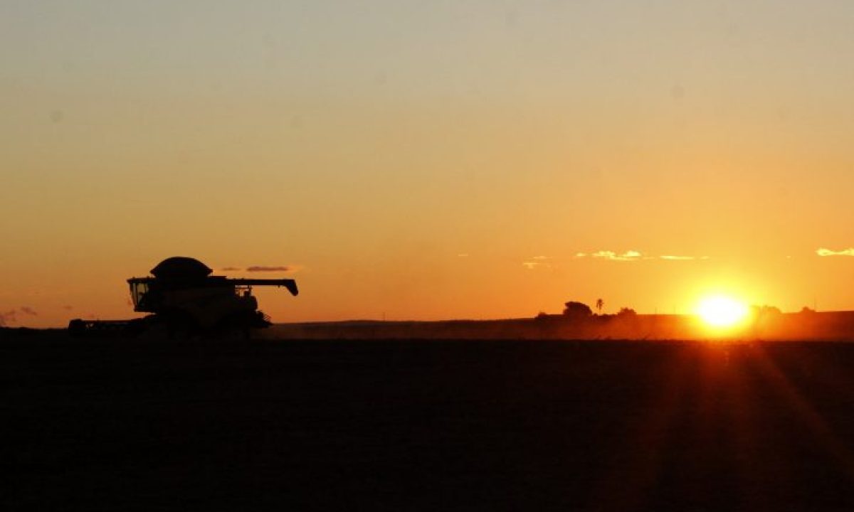 Imagem-do-dia-Foto-Chico-Ribeiro-16-730x480