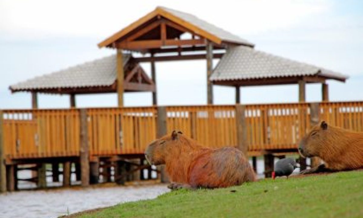 Inauguracao-Deck-da-Lagoa-8-scaled-420x280_c