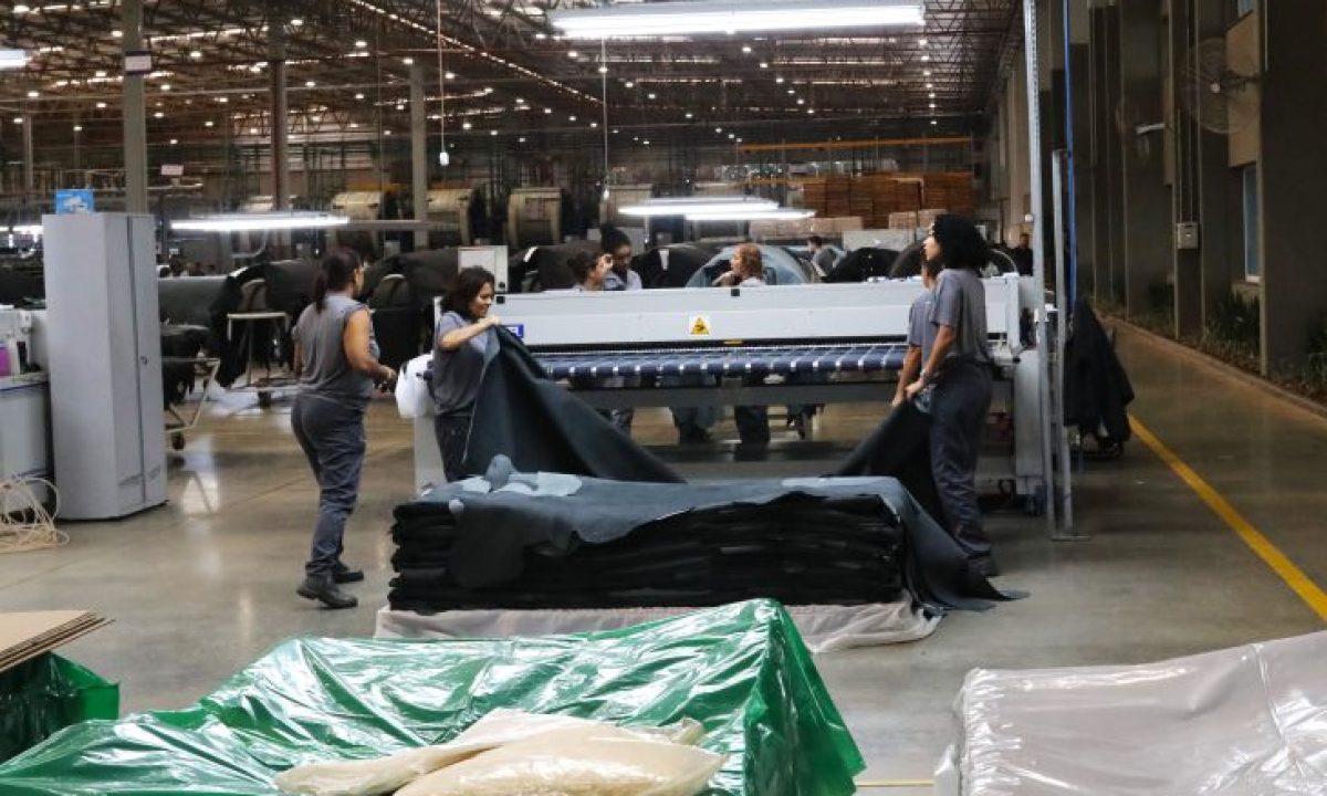 Industria-Foto-Saul-Schramm-5-730x480