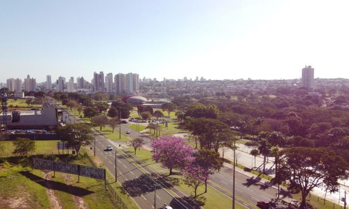 Ipes-Foto-Bruno-Rezende-10-730x480