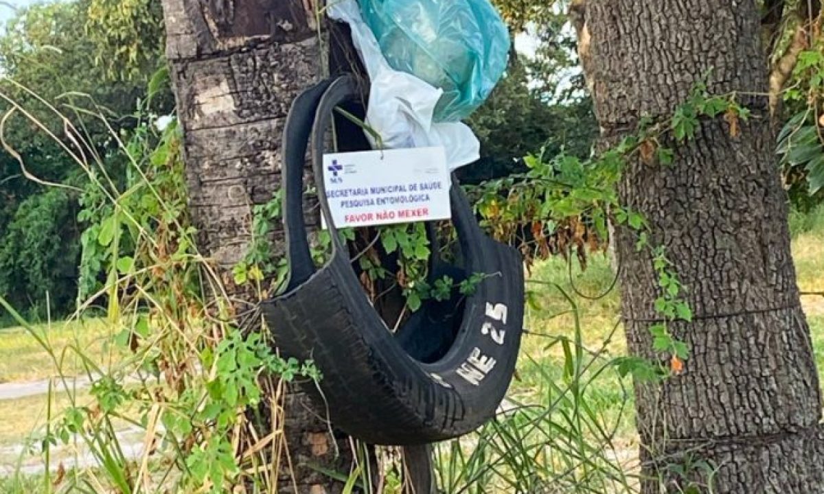 LARVITRAMPAS-14-03-9-scaled