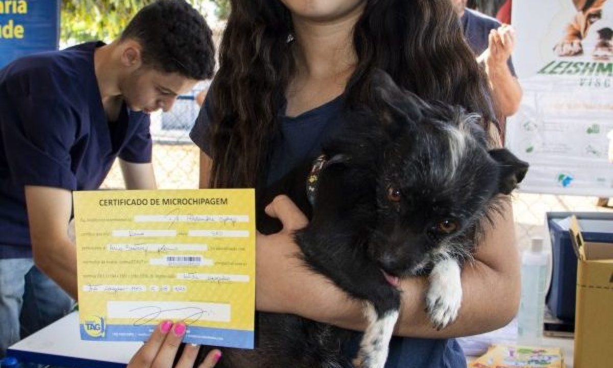 LEISHMANIOSE_JOAQUIM_MARQUES08-scaled-e1692027256170