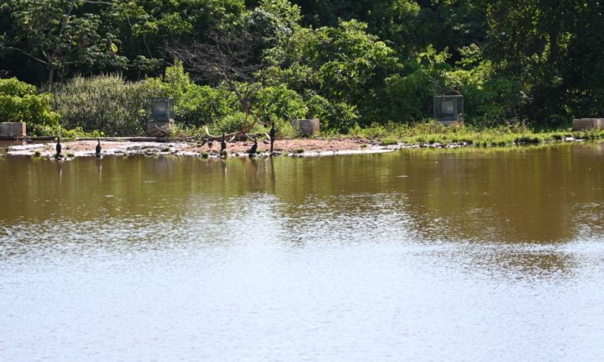 Lago-Parque-das-Nacoes-3-730x480