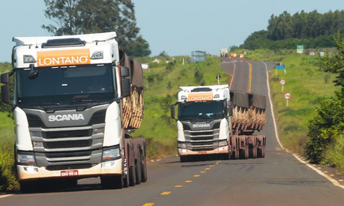 MS-040-Foto-Saul-Schramm-2-730x425