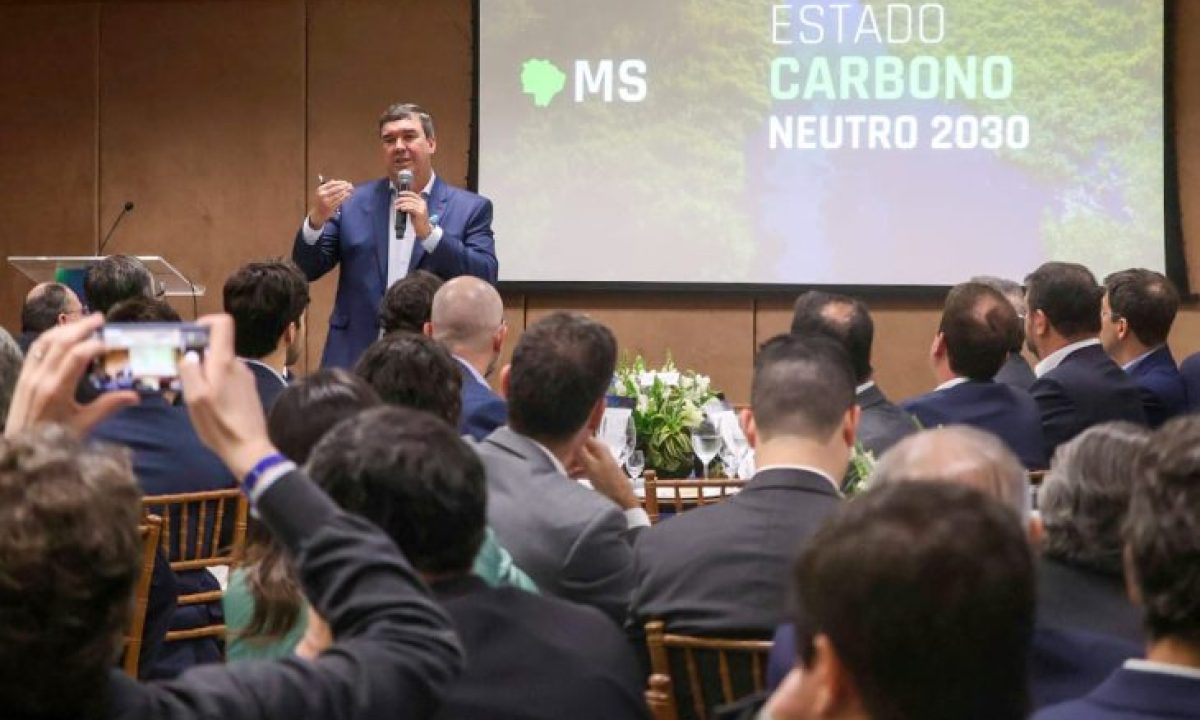 MS-DAY-Foto-Alvaro-Rezende-02-4-730x480