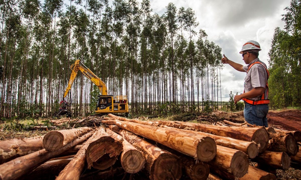 Máquinas florestais -