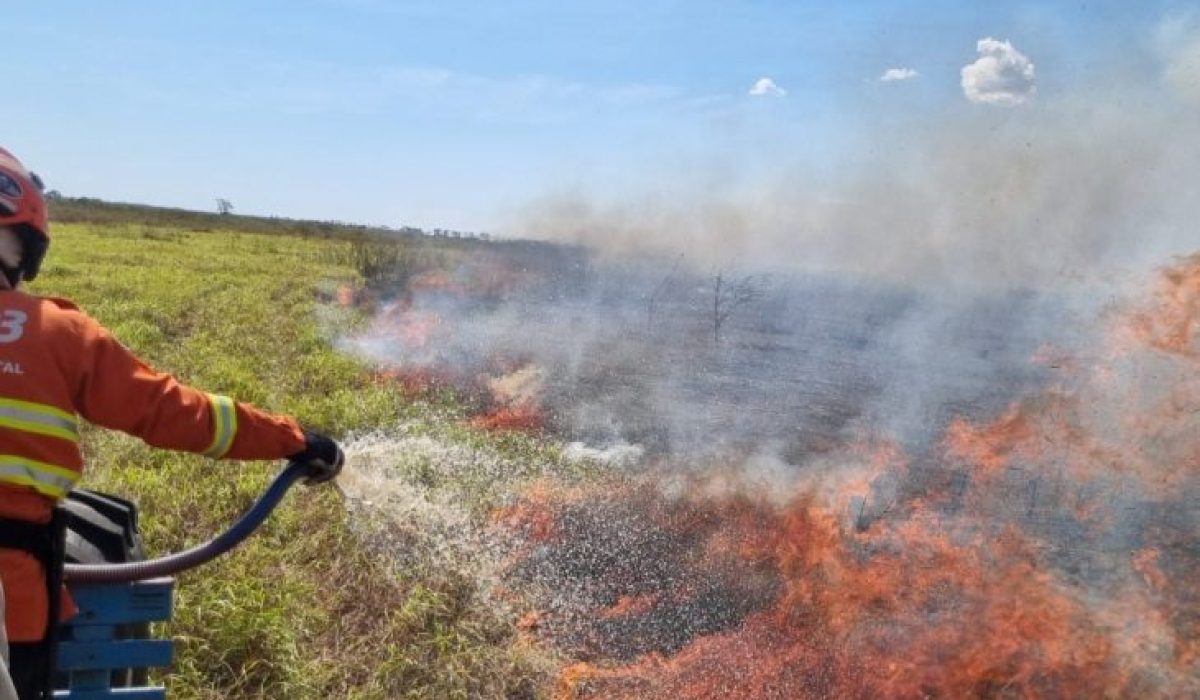 Nhecolandia-05_incendio-florestal-junho-2024_Pantanal_air-tractor_CBMMS-730x480