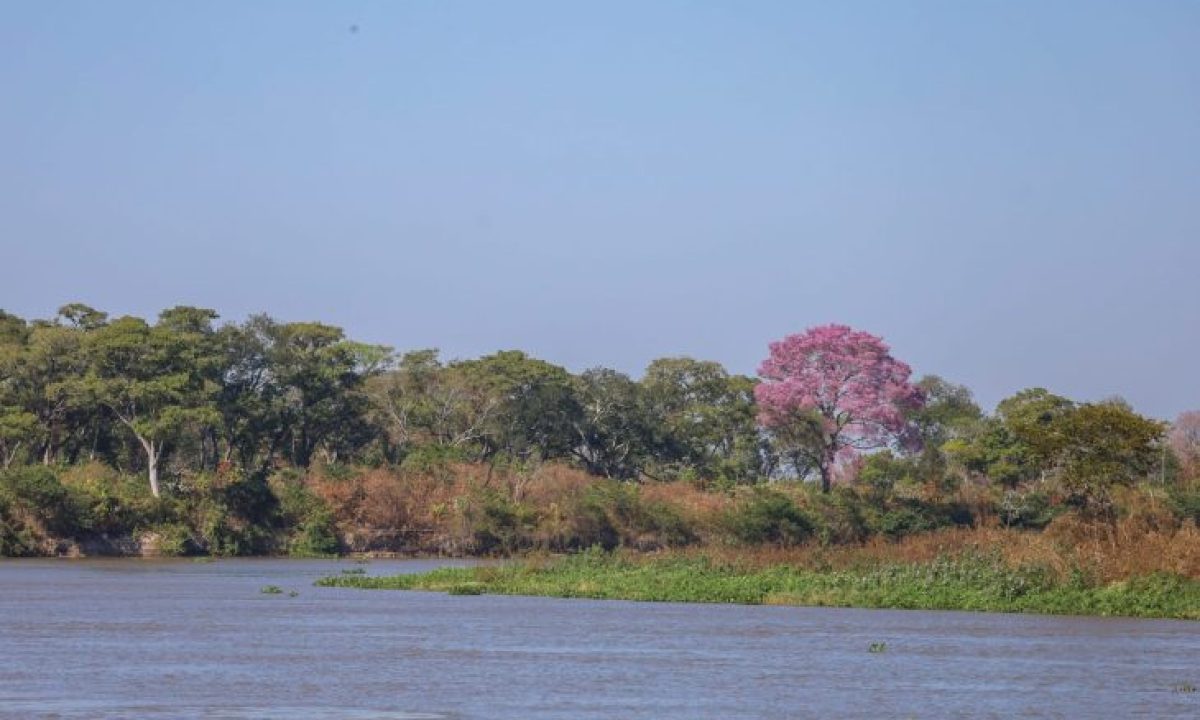 Operacao-Pantanal-Foto-Alvaro-Rezende-22-730x480