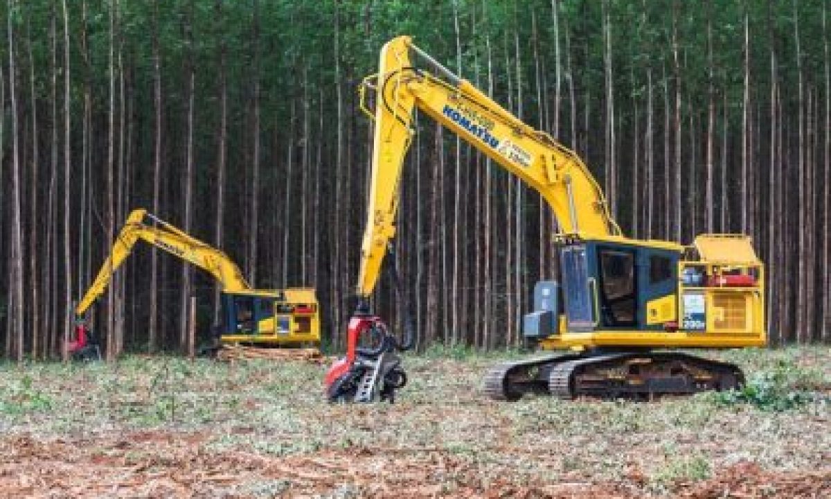 Operador-de-Colheitadeira-florestal-Curso-scaled-420x280_c