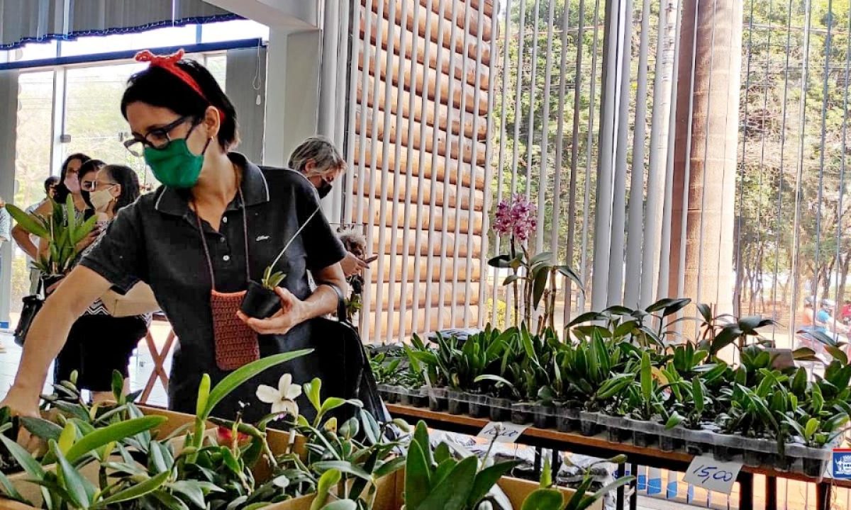 Orquidário Santa Ana