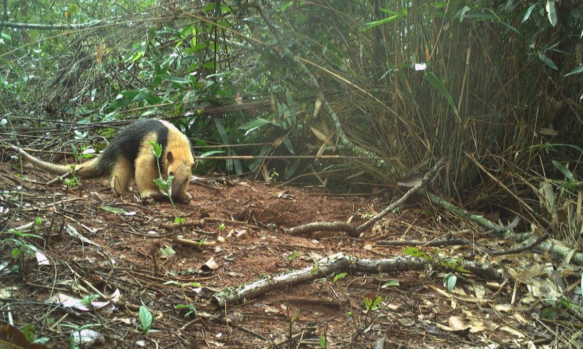 PARQUE DO POMBO - SET. 2022 (17)