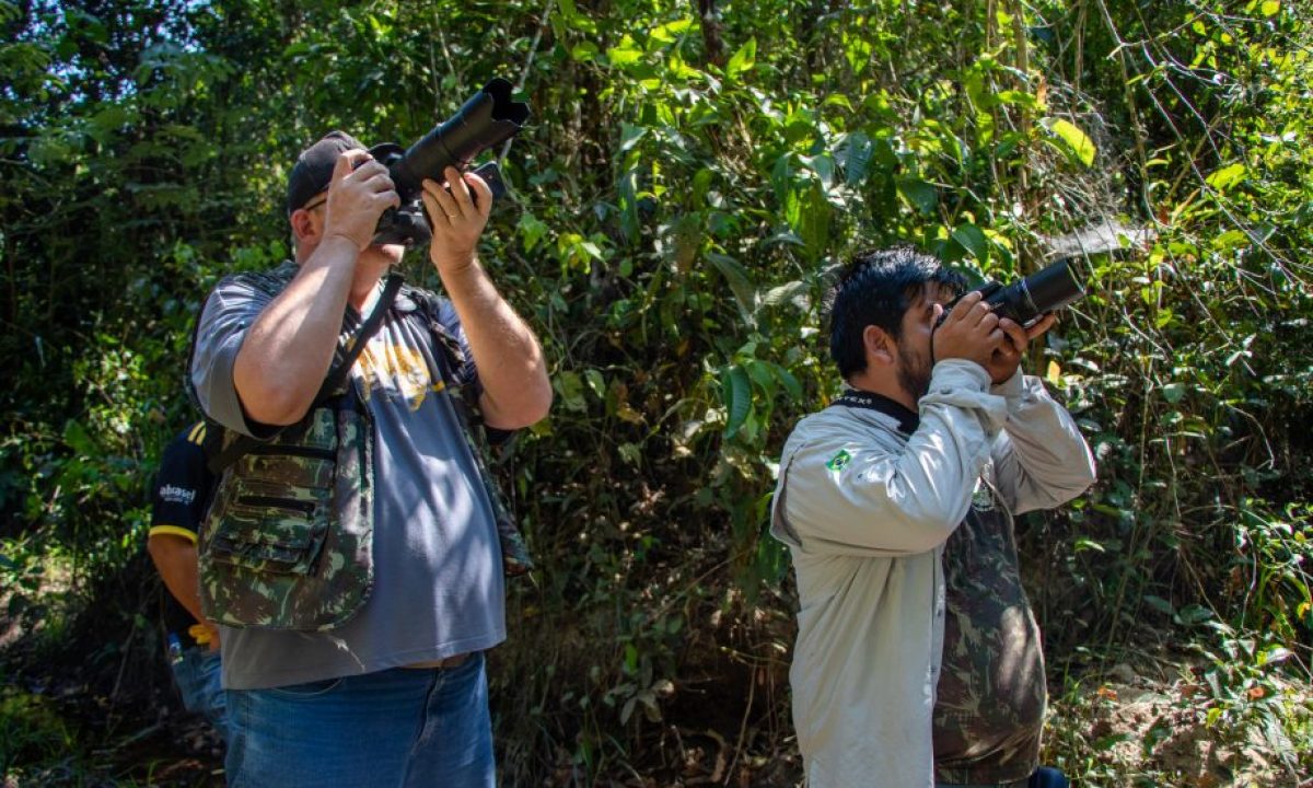 PARQUE-DO-POMBO_BIRDWATCHIN-4-scaled