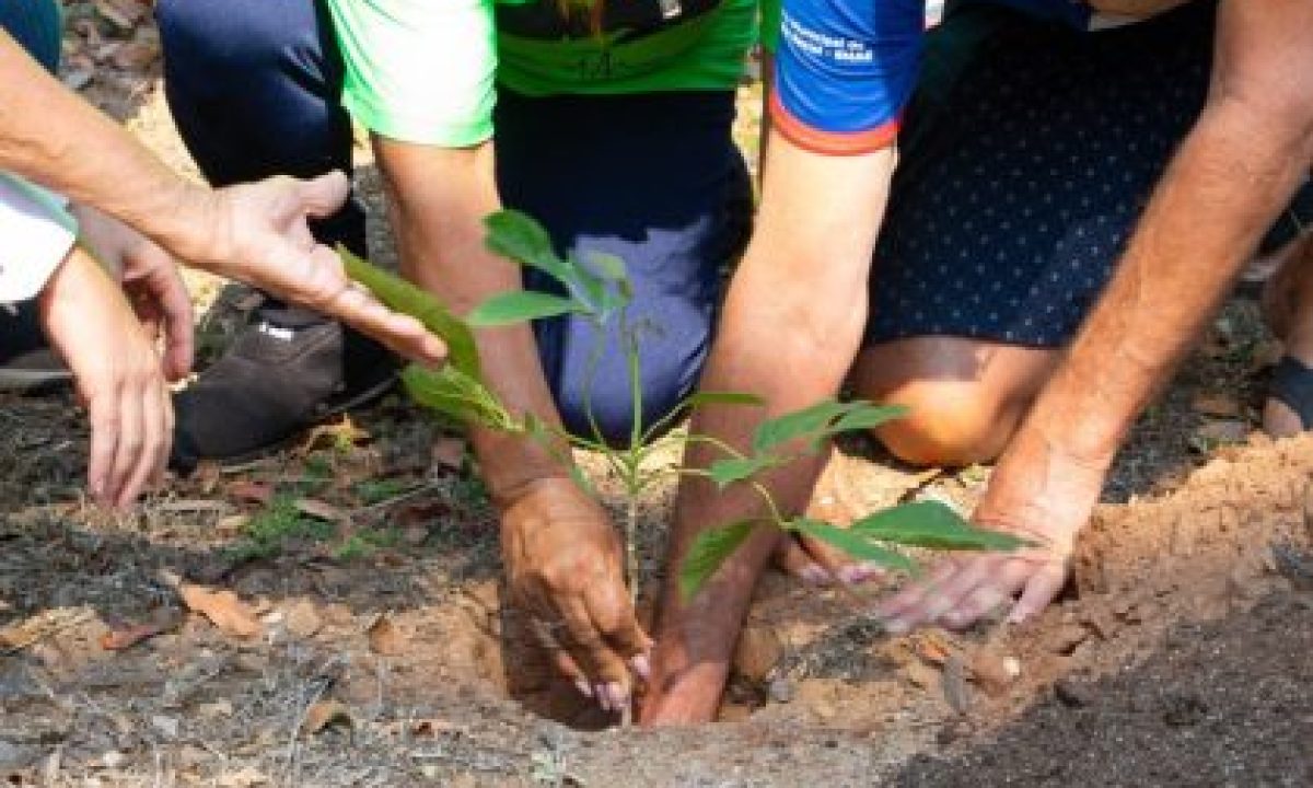 PLANTIO-DE-ARVORES-COM-IDOSOS-15-10-10-scaled-420x280_c