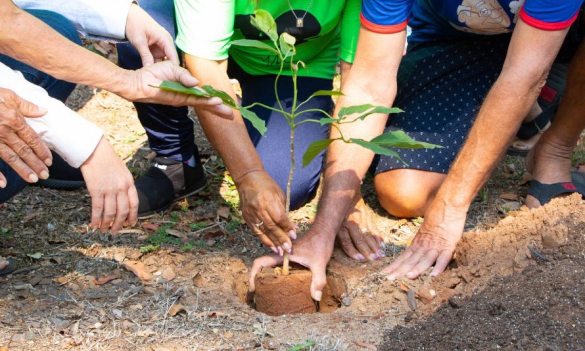 PLANTIO-DE-ARVORES-COM-IDOSOS-15-10-9-scaled
