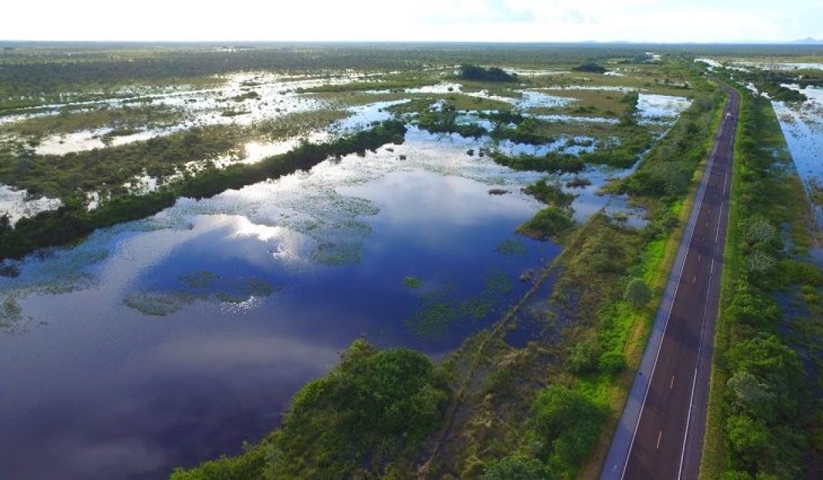 Pantanal--730x425