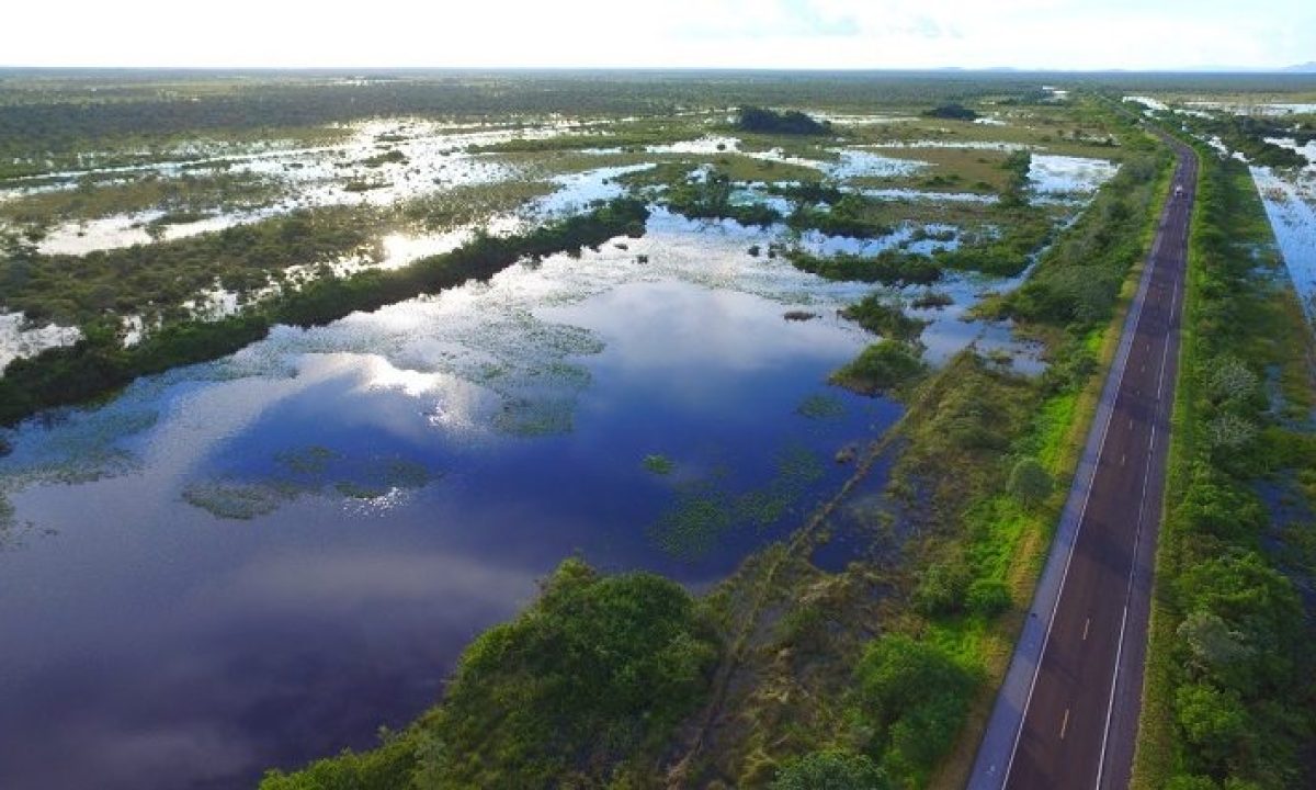 Pantanal--730x425