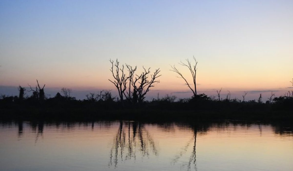 Pantanal-Tempo-Foto-Bruno-Rezende-06-730x480