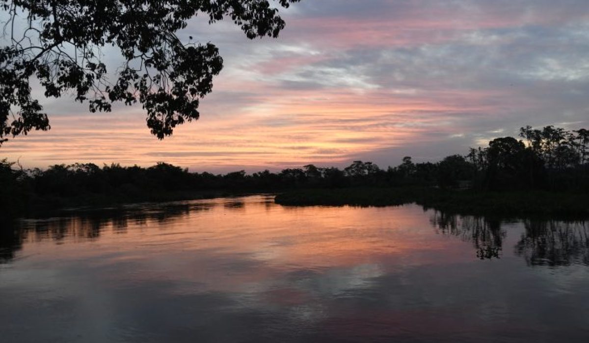 Pantanal-Tempo-Foto-Bruno-Rezende-07-730x480
