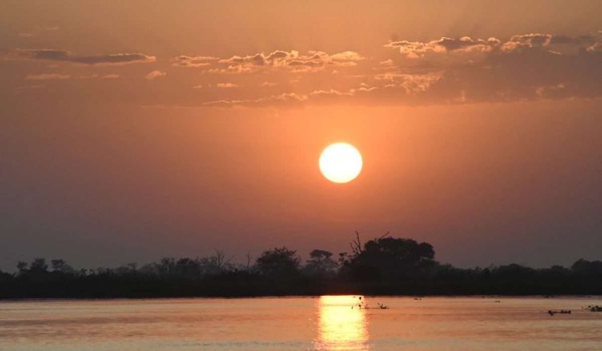 Pantanal-Tempo-Foto-Bruno-Rezende-08-730x480