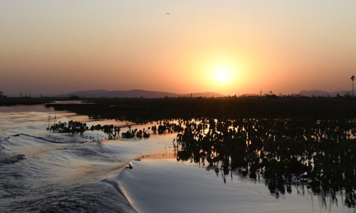 Pantanal-Tempo-Foto-Bruno-Rezende-22-730x480
